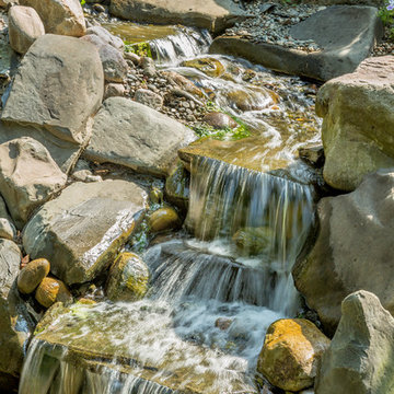 Backyard Stream