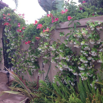Rancho Bernardo