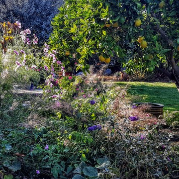 John's Garden Sanctuary