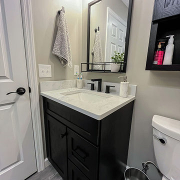 Guest Bathroom with Onyx Cabinets and Tyvarian shower