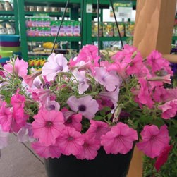 Nursery - Gardening And Lawn Care