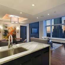 chicago wood floor/kitchen