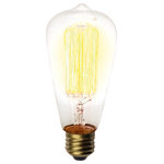 Urbanest - Dimmable Squirrel Cage 40 Watt Edison Bulb, E26 Base, Set of 3 - With clear glass and prominent filmaments, Edison light bulbs are a simple and effective way to make a statement in lighting.
