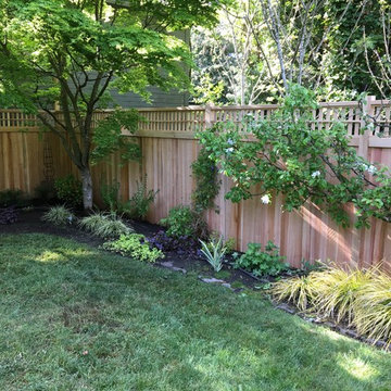 Capital Hill Clear Cedar Fence