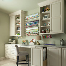 Organization