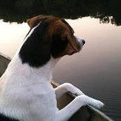 JaNaye Johnson's photo