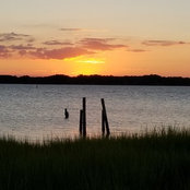 Fonda Rhodes's photo