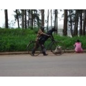 Chex Arayan's photo