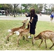 HOyee Hui's photo