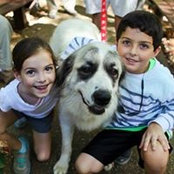 Lynn Chappin's photo