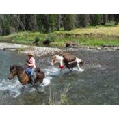 Michelle Slack's photo
