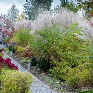 Autumn colors