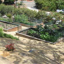 backyard and pool