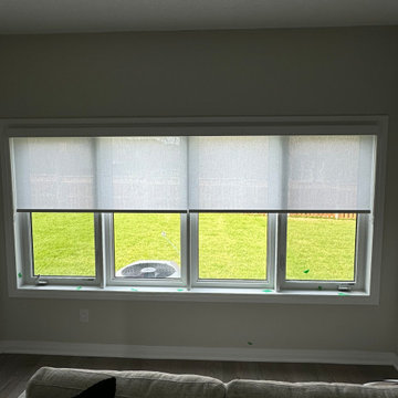 Donna Light Filtering Roller Shades