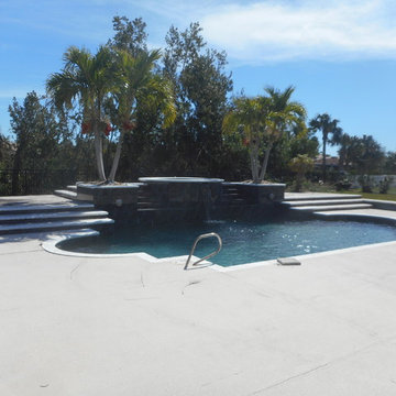 The Penguin Pool