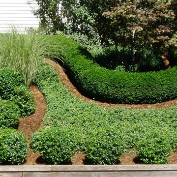 Front Yard Landscaping
