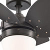 Bellevue WCFA38374 Huber 24" 6 Blade LED Indoor Ceiling Fan - Chrome