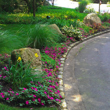 Rock Planting Borders