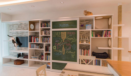 Lessons from 5 Homes Where Cats Rule