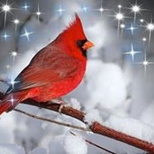 Mary Mongelluzzo's photo