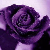 Lee Lee's photo