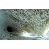 Jerrie Riggs's photo