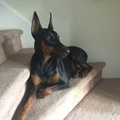 Sandra Baker's photo
