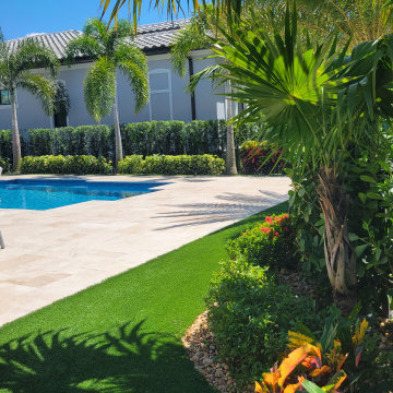Parkland Modern Tropical Backyard with Palm Trees & Turf