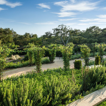 Montecito