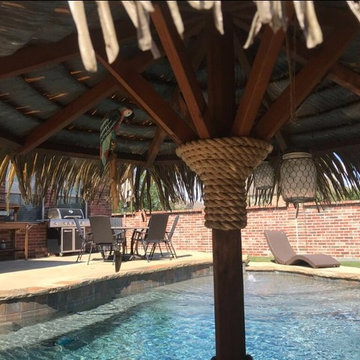 Stone Palapa (3 Years old)