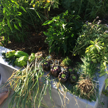 veggies