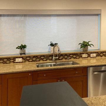 Hunter Douglas Designer Screen Shades