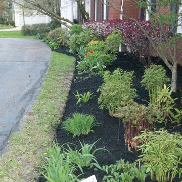 Shaheen spring clean-up