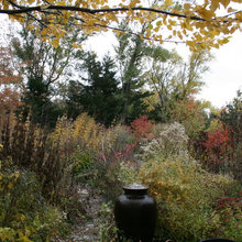 Stefanie's garden ideas