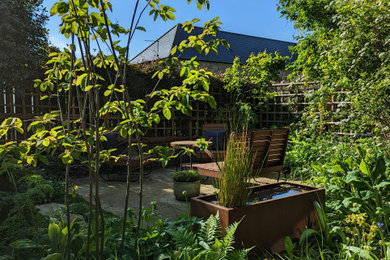 Contemporary courtyard that welcomes wildlife