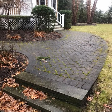 Bluestone walkway