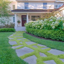 Exterior Ideas