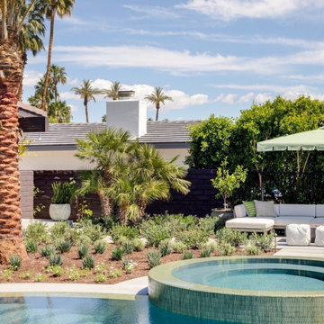 Desert Oasis