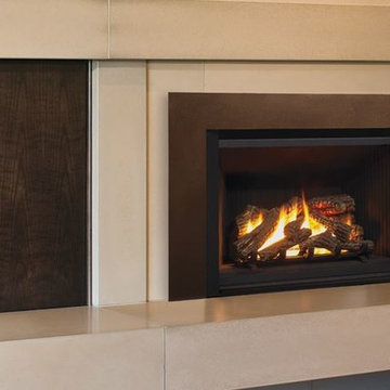 Contemporary Fireplace Inserts