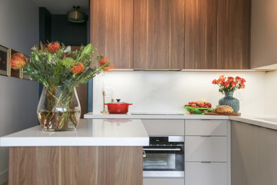 Inspiration for a contemporary kitchen remodel in Toronto