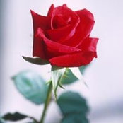 Denise Jones's photo