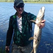 Dmitrii Sidorenco's photo