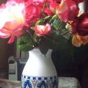 Patricia Mace's photo