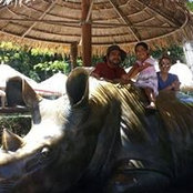 Andrea Adams's photo