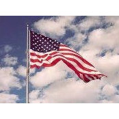 Lynn Ellixson's photo