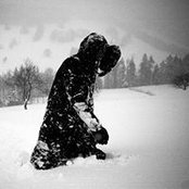 Gabor Vajda's photo
