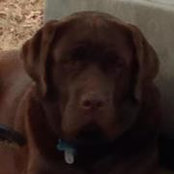 Robyn Perkerson's photo