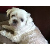 Laura Heimink-Lopez's photo