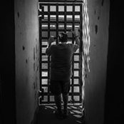 Gene Schaffer's photo