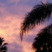 Foto von Dreama Hay